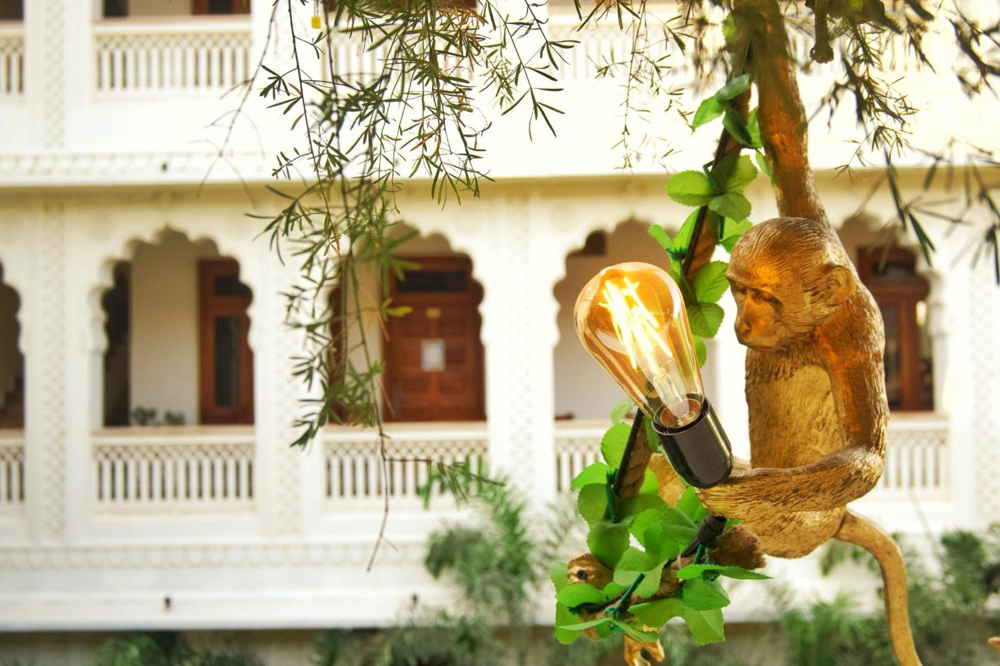 Banana Hostel Pushkar Zewnętrze zdjęcie