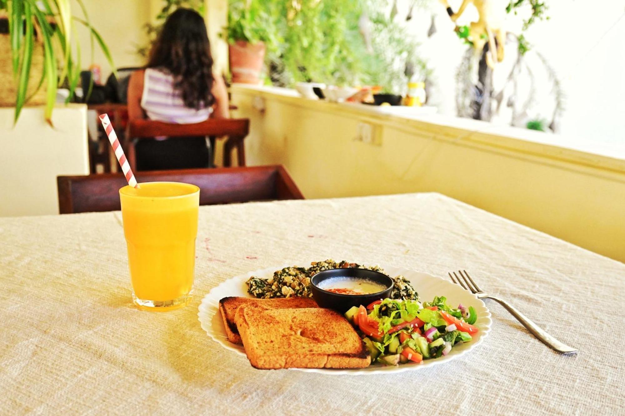 Banana Hostel Pushkar Zewnętrze zdjęcie